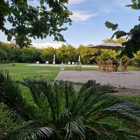 Farm stay Terre Di Nelio Vignanello